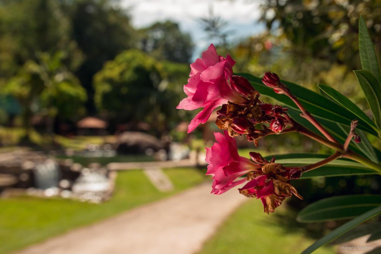 Rancho Do Ze Joao Hotel Lavrinhas Eksteriør billede